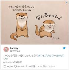 可愛謊言水獺 插圖推特爆紅呆萌模樣就算撒謊也能原諒 照片 teddy bear animals teddy