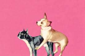 A Brief History of Sex on the Internet | WIRED