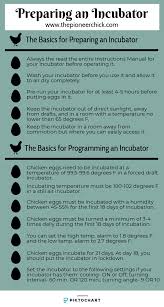 Pin On The Pioneer Chicks Poultry