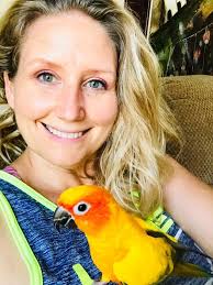 Lost parakeet named Mango in Clarksville, TN