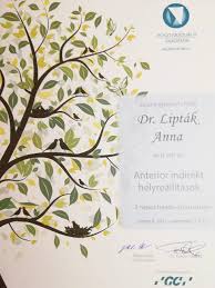 43 individual events and 39 team events. Dr Med Dent Liptak Anna Vezendi Tamas Fogorvos Fogaszati Maganrendeles