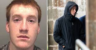 Teen stole 10 cats from animal sanctuary to use as live bait for dogs