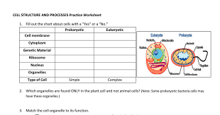 They are made up from groups of. Cell Structure Practice Pdf Cell Structure Eukaryotic Cell Prokaryotes