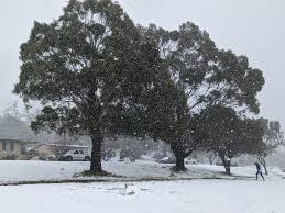 Blue mountains tourism blue mountains hotels blue mountains bed and breakfast blue mountains vacation rentals blue mountains packages Blue Mountains Snow The Best Places For Snow Play With The Kids