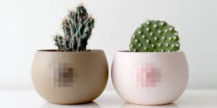 License type what are these? 12 Best Boob Planters Funny Breast Planters And Vases