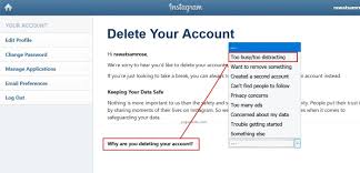 Navigate to the delete instagram account page via a web browser. Delete Instagram Account Permanently By Using Browser Or Insta App