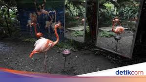 Berikut adalah daftar tempat pariwisata di indonesia berdasarkan provinsi.untuk informasi lebih lengkap mengenai pariwisata di indonesia. Potret Muram Satwa Kebun Binatang Bertahan Di Tengah Wabah Corona