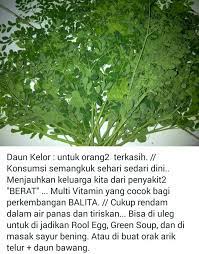 Khasiat Daun Kelor Herbal Kesehatan Alami Obat Alami Resep Sehat