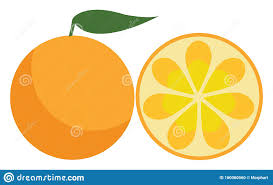 Dibujo de unas naranjas para colorear. Una Granja De Frutas Naranjas Frescas Para Ser Disfrutadas Por Alguien Dibujo De Color Vectorial O Ilustracia N Ilustracion Del Vector Ilustracion De Anaranjado Color 160060560