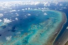 Attracting over 2 million visitors each year, it's often considered one of the greatest natural wonders of the world, and it's so big that it can actually be seen from space! Great Barrier Reef Wikipedia