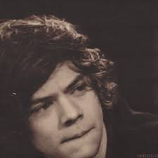 Mi mundo, mi banda, mi todo One Direction