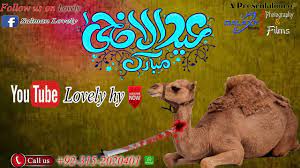 For your search query out of control danger camel qurbani bakra eid 2019 karachi mp3 we have found 1000000 songs matching your query but showing only top 10 results. Out Of Control Danger Camel Qurbani Bakra Eid 2019 Karachi Youtube