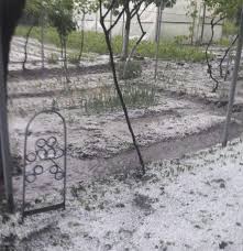 Până unde merge dorinţa germaniei de a micşora numărul şomerilor. Ploile Si Grindina Au FÄcut Ravagii In GospodÄrii Din Tulcea Foto Video