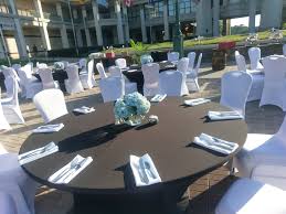 Outdoor Evening Reception With Our Neighbors Next Door Outdoor Evening Pet Resort Next Door