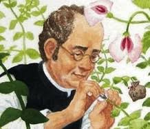 Mendel ve Mendel Yasaları