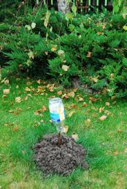 Maybe you would like to learn more about one of these? Maulwurf Bekampfen So Verscheuchen Sie Ihn Aus Dem Garten Wuhlmaus Hugel Maulwurfshugel Erdhugel Bekmpfe Maulwurf Im Garten Wuhlmaus Vertreiben Pflanzen