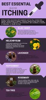Stop That Itch 10 Best Essential Oils For Itching Recipes Included Made With Oils In 2020 Best Essential Oils Essential Oils Cleaning Essential Oil Blends