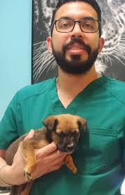 Adorable 3-month-old puppy has a life threatening birth defect 😢 She is  unable to eat solid food due to a strangled oesophagus 🐶