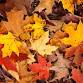 Fall Fest Weekend