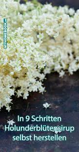 In 9 Schritten Holunderblutensirup Selbst Herstellen Holunder Sirup Holunderbluten Rezepte