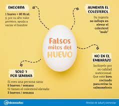 Mis Recetas Anticancer Cuantos Huevos Podemos Comer Al Dia Cuales Son Los Huevos Mas Saludables