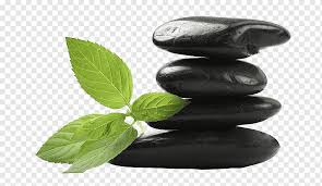 It depends on the undertone of your skin. Rock Pebble Leaf Stone Massage Graphy A Green Life Pushed On A Black Stone Black Hair Stack Stone Png Pngwing