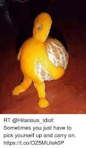Rt Sometimes You Just Have To Pick Yourself Up And Carry On Httpstcooz5muiok0p Meme On Me Me