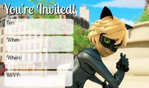 Miraculous Cat Noir Party Invitations Cat Noir Birthday Party Ideas Party Invitations Miraculous Birthday