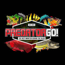 Aquarium mini ikan hias air tawar kecil cantik tiga jenis ikan hias kecil air tawar dalam satu aquarium dan aquascape. Predator Go Videos Facebook