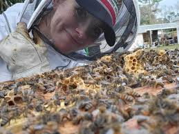 Meet Lauren Donaldson