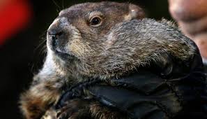 Phil conners finds himself reliving the same day over, and over, and over: A Short History Of Groundhog Day Smart News Smithsonian Magazine