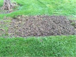 Rototilling my garden got me to thinking about how there are times we need to rototill our lives. How Do I Roto Till Without Leaving A Trench Gardening Landscaping Stack Exchange