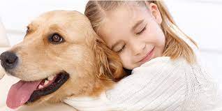ruyada kopek gormenin anlamlari cocugunuzunruyasindakopekgormesi ruyadabeyazkopekgormek ruyadacobankopegigormek ruyada ev kopekleri golden retriever kopek