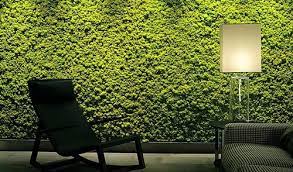 Welcome Jazzbassment Com Bluehost Com Vertical Green Wall Living Wall Green Roof Design