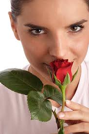 160+ Bonnie Stock Photos, Pictures & Royalty-Free Images