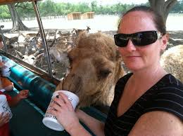 Julie Lynch Hill (@julie.lynchhill) • Facebook