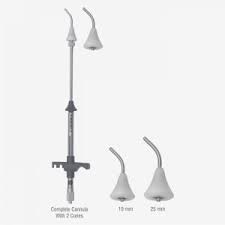 Image result for Trachypogon chevalieri