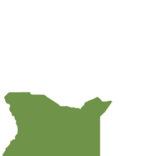 Image result for Megalochlamys revoluta