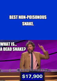 Dead Snake Blank Template Imgflip