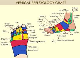 71 Organized Ear Reflexology Chart Download