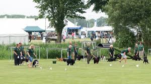 Image result for lincolnshire reporter