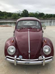 Image result for Ivory 1950 Beetle