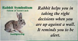 Animal embody the new life that is emerging the first texts that mention the easter bunny are 1620 easter symbolism of the rabbit starts from the western celebration of the christian religion. Rabbit Symbolism Totem Of Good Luck Sunsigns Org