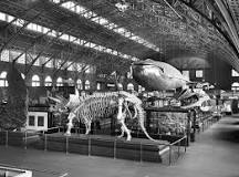 Image result for what water treatment method was first used in st. louis at the world's fair