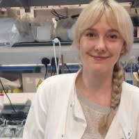 7300+ "Saxton" profiles