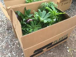 Some states regulate the transport of certain plants. Shipping