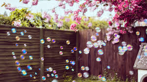 Best full hd 1920x1080 wallpapers. Download Hintergrundbild Blumen Zaun Fruhling Hof Seifenblasen Die Auflosung 1920x1080 124835