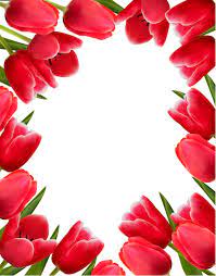 Flower Tulip Background 02 Flower Backgrounds Flower Frame Cherry Blossom Wall Art