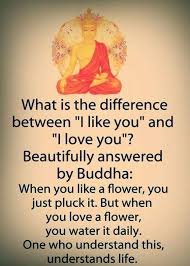  Pin On Quotes