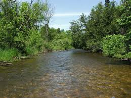 Sturgeon River Map Cheboygan County Canoeing Kayaking Tubing